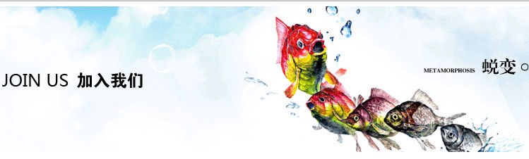 Ӎ�W��˾��������? �ȴ��㹲���x�ͣ�